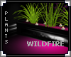 [LyL]Wildire Plant Box
