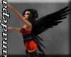 [A&P]Black Angel Wings