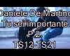 D.Maertino Tu Sei Import