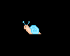 Tiny Aqua Snail