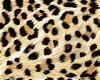 Rug Leopard Plush
