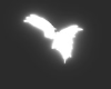 wings VZ89DD