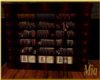 Library Bookcase 1