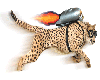 Cheetah Rocket!