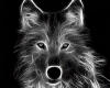 Wolf animated pic