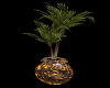 Safari Club Potted Palm