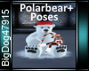 [BD]Polarbear+Poses
