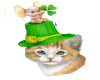 St. Patricks  cat 3