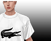 Camisa LCST v3