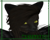 Black Cat Furry Head