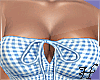 Gingham Dress Blue