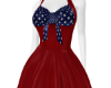 Vintage Patriotic Dress