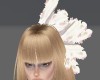 feathers