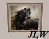 JLW Black Stallion Pic