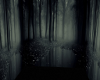 Dark Forrest Background