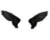 awesome black wings