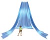 Blue Canopy Drapes