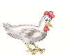 ! Pecking Chicken Pose