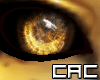 [C.A.C] Cheetah Ma Eyes