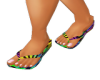 Multicolor Flip Flops