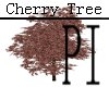 PI - Cherry Tree