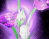Purple passion glow bg