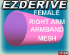 Female R A Armband Mesh