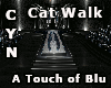 A Touch of Blu  Cat Walk