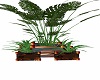 brown potted plants 