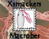 Macrobes- Salmonella