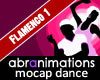 Flamenco Dance 1