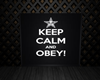 OBEY Small Room