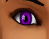 *SL* Purple Eyes