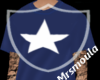 Star T shirt Stem