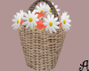 A| Spring Flowers Basket