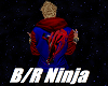B/R Ninja B3