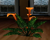 Calla Lily
