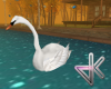 ID* Autumn Park  Swan