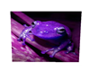 Exotic Frog 3