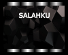 SALAHKU   -  SAL -