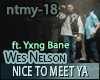 Wes Nelson -Nice2Meet Ya