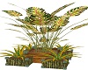 bamboo planter/tropic 