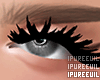 !! Sexy Lashes No Blend