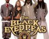 Black Eyed Peas Part2
