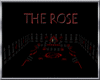 (TSH)THE ROSE