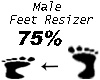Feet Resizer 75%