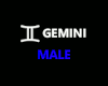 H@K Gemini Zodiac