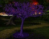 ~HD~purple tree
