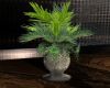 [BB]Plant in Silver Vase
