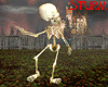 Pet Skeleton
